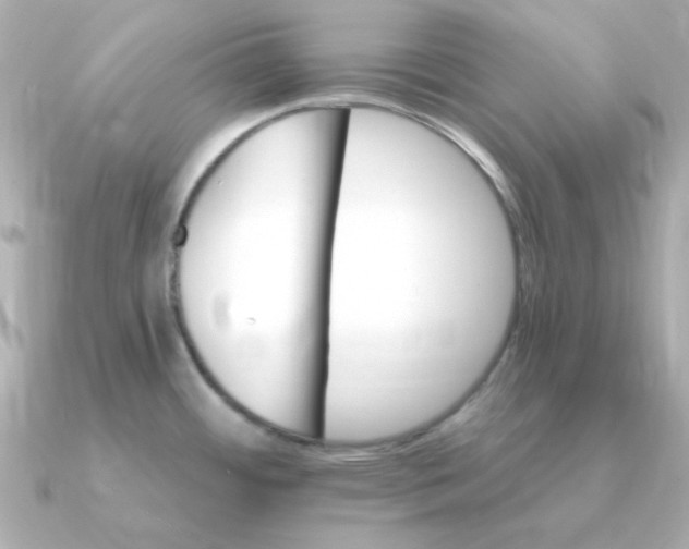 X0000090721484200708101543