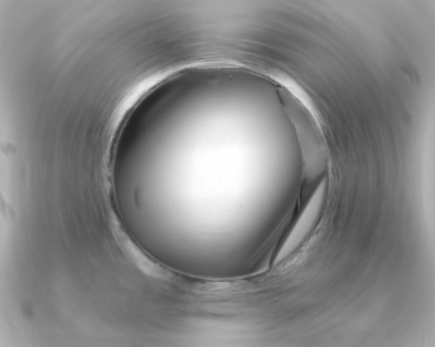 X0000090721485200708101543