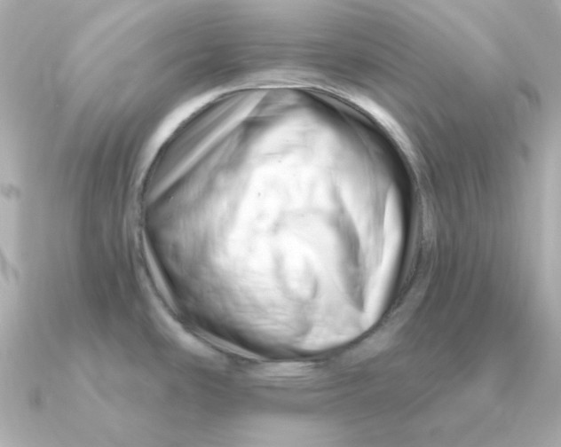 X0000090721486200708101543