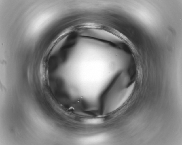 X0000090721487200708101543