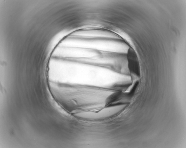 X0000090721488200708101543