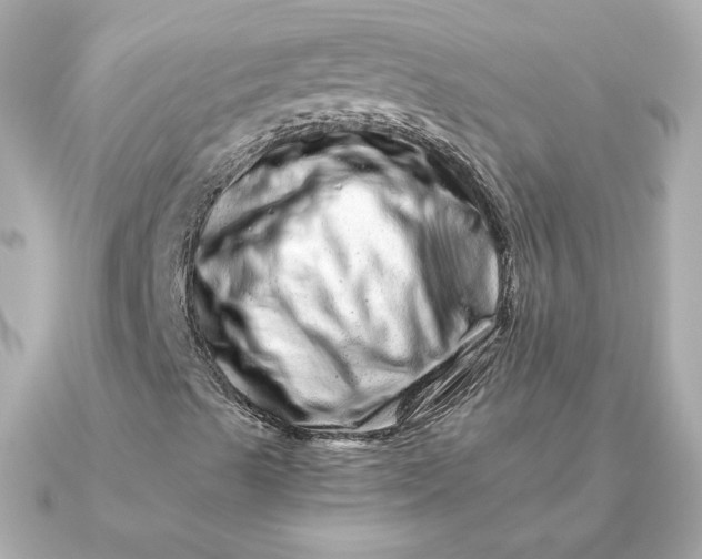 X0000090721489200708101542