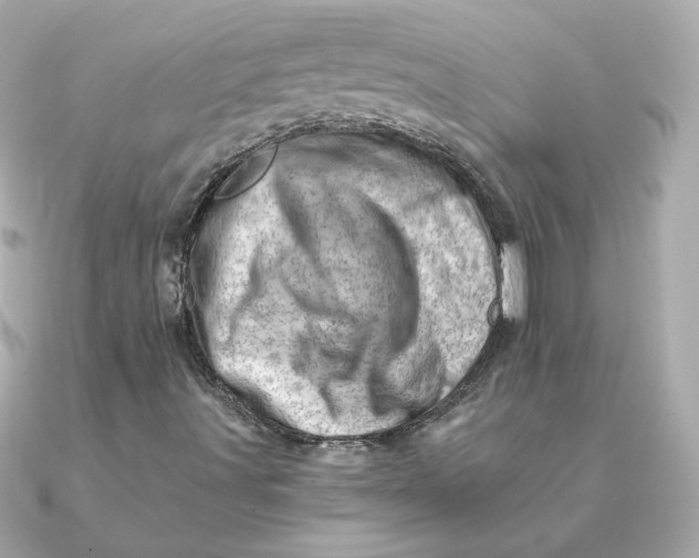 X0000090721491200708101542