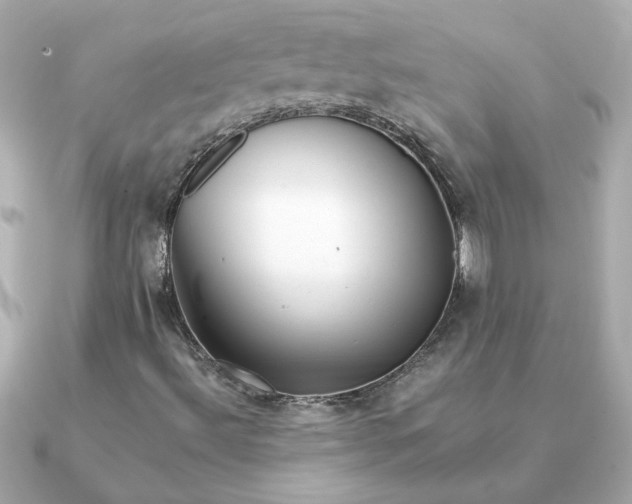 X0000090721492200708101542