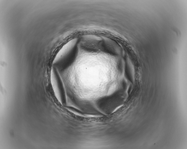 X0000090721493200708101542