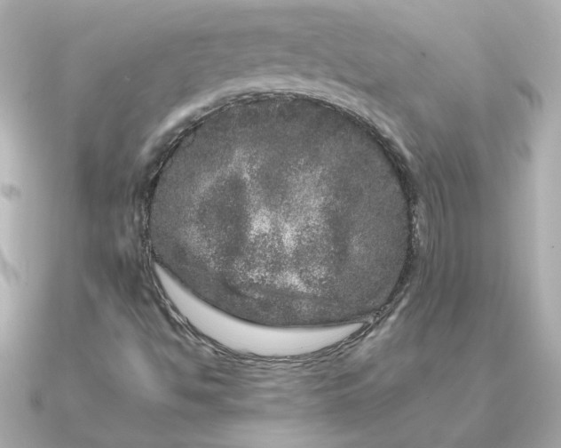 X0000090721494200708101542