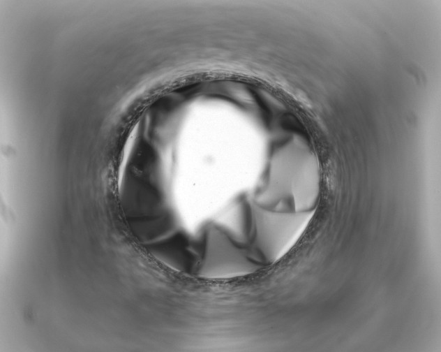 X0000090721495200708101542