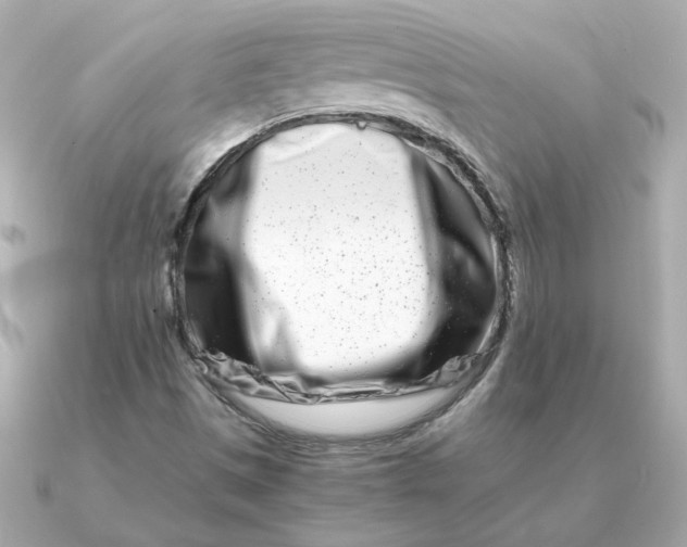 X0000090721497200708101543