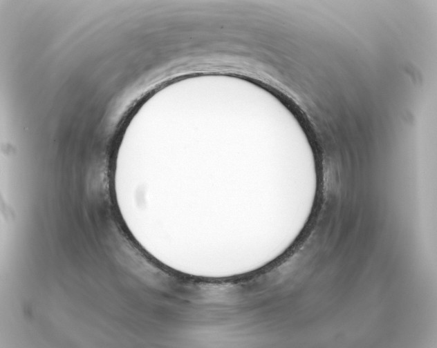 X0000090721498200708101543