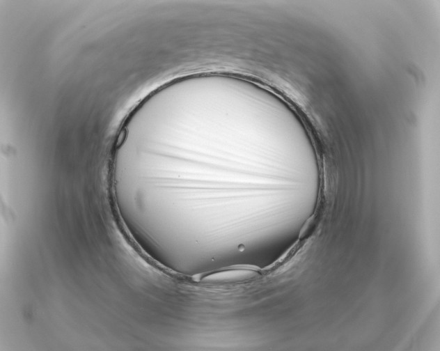 X0000090721500200708101543