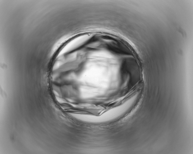 X0000090721501200708101543