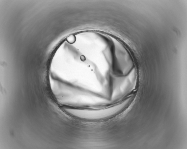 X0000090721502200708101543