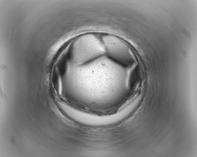 X0000090721503200708101543
