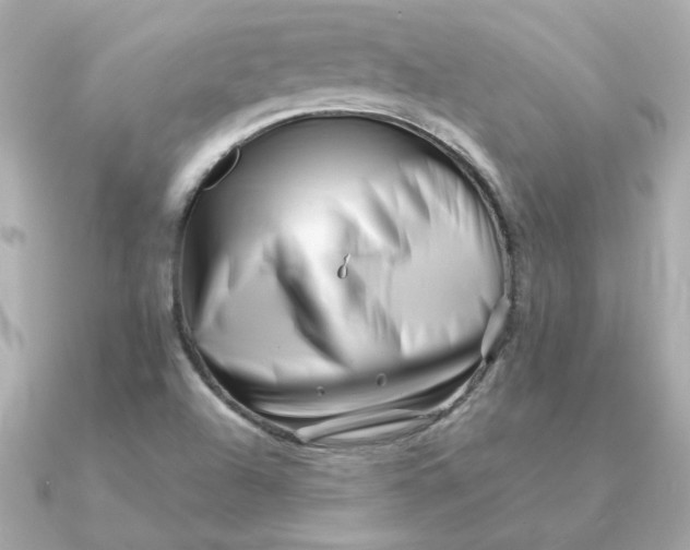 X0000090721504200708101543