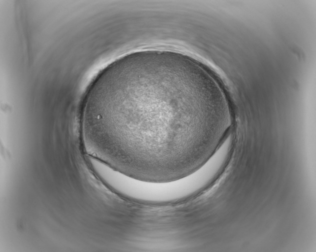 X0000090721506200708101543