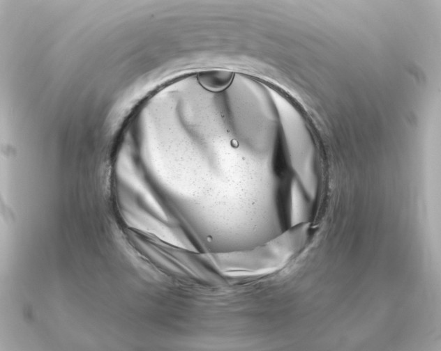X0000090721507200708101543