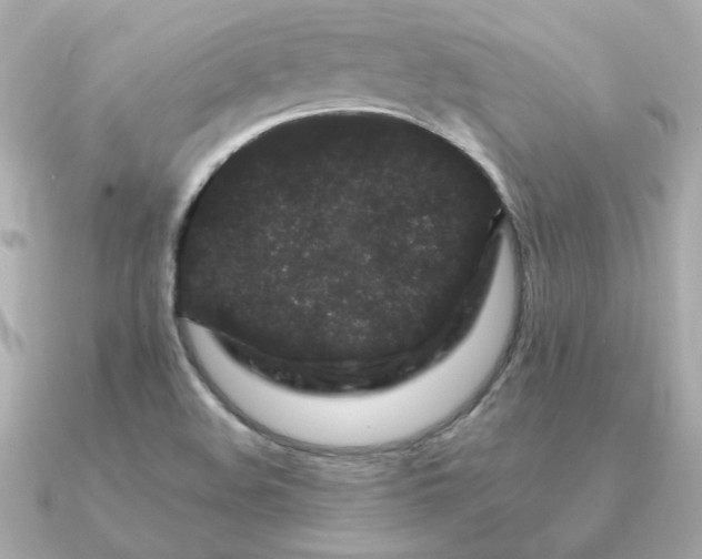 X0000090721508200708101543