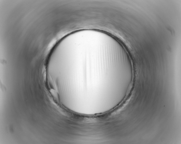 X0000090721509200708101543