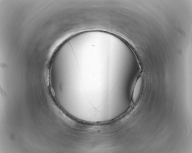 X0000090721510200708101543