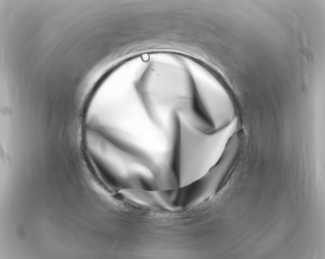 X0000090721511200708101543