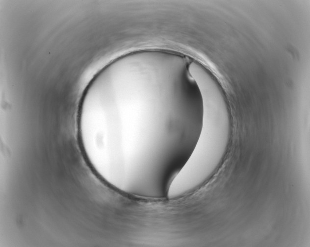 X0000090721512200708101543