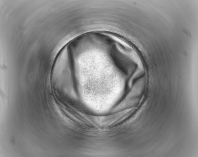 X0000090721513200708101543