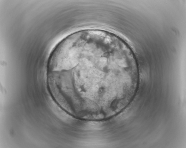 X0000090721514200708101543