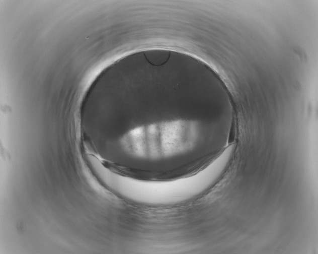 X0000090721515200708101543