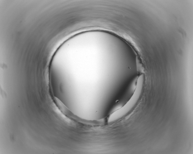 X0000090721516200708101543