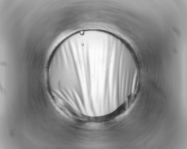 X0000090721517200708101543