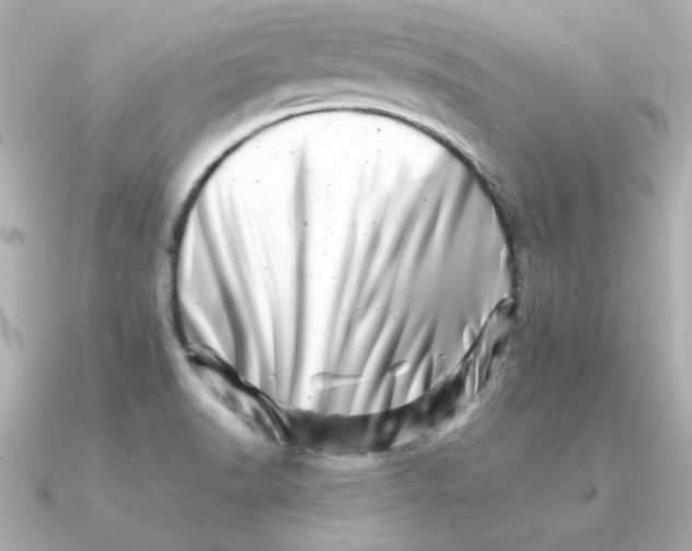 X0000090721518200708101543