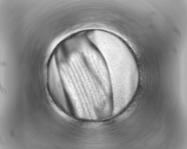 X0000090721519200708101543