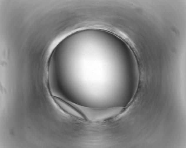 X0000090721520200708101543