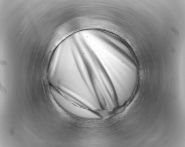 X0000090721521200708101543