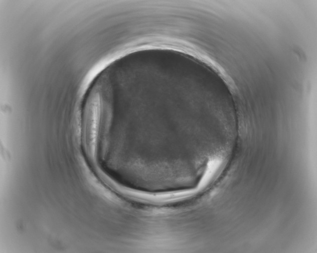 X0000090721522200708101543