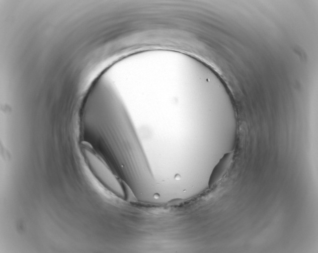 X0000090721523200708101543
