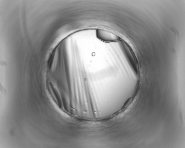 X0000090721525200708101543