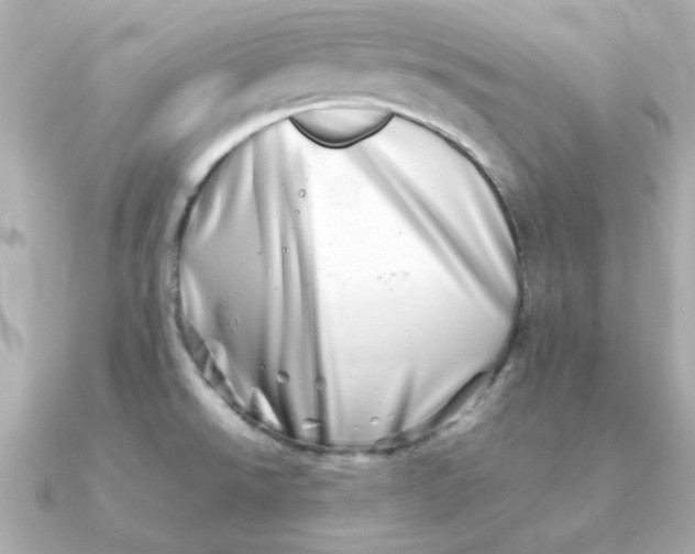 X0000090721526200708101543