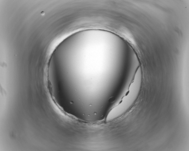 X0000090721528200708101543