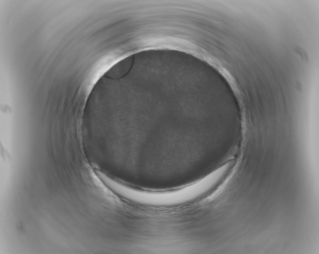 X0000090721529200708101543