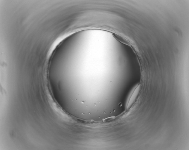 X0000090721530200708101543