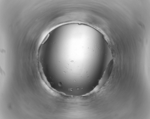 X0000090721532200708101543