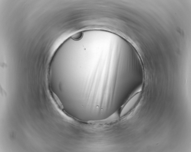 X0000090721533200708101543