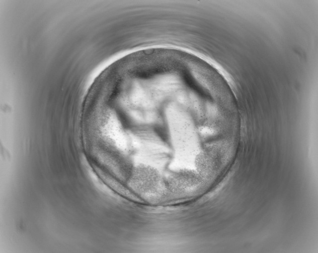 X0000090721534200708101543