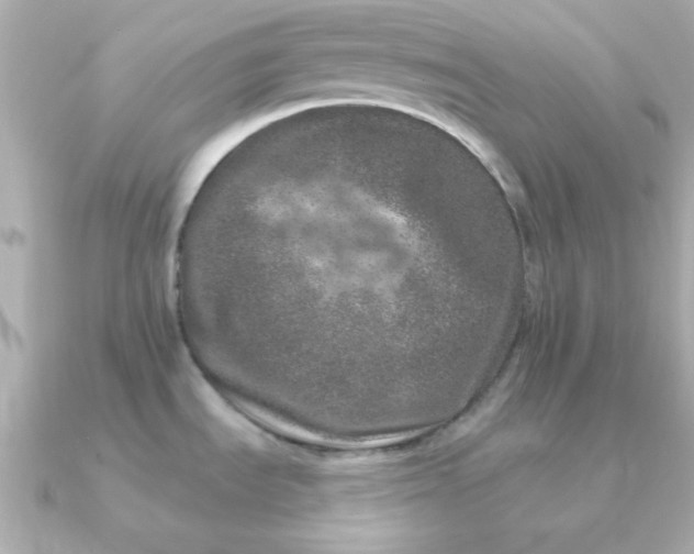 X0000090721535200708101543