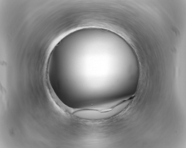 X0000090721536200708101543