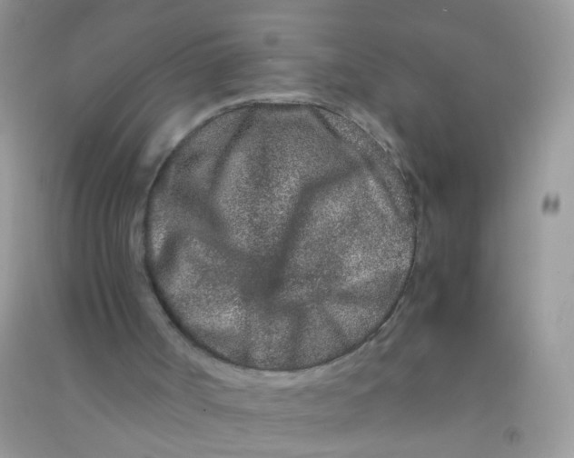 X0000090720002200708171936