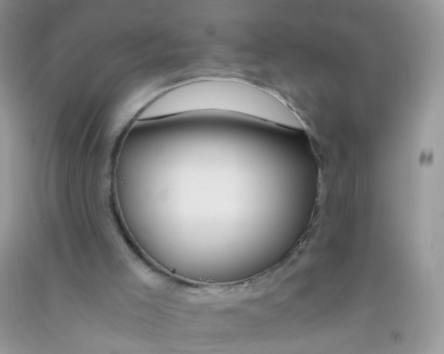 X0000090720005200708171936