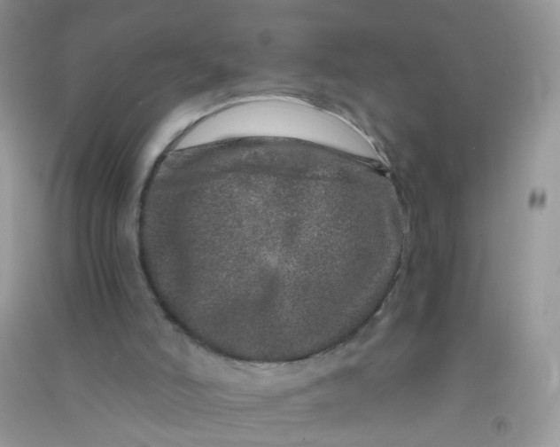 X0000090720006200708171936