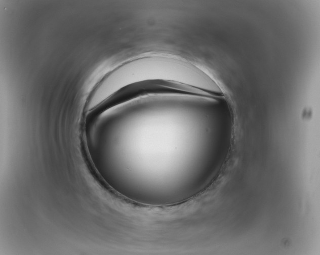 X0000090720007200708171936